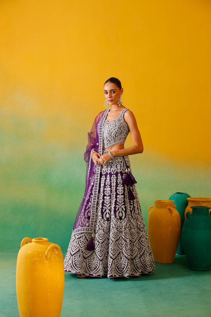 Neerus Purple net embroidered lehenga set - side view