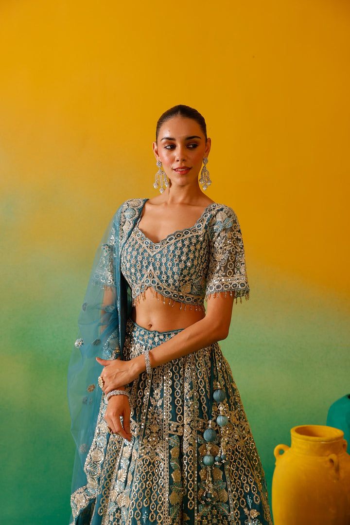 Neerus Blue net embroidered lehenga set - detail view 10